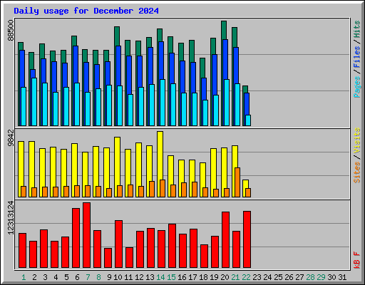 Daily usage for December 2024