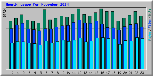 Hourly usage for November 2024