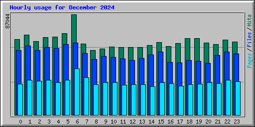 Hourly usage for December 2024