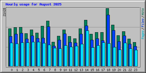 Hourly usage for August 2025