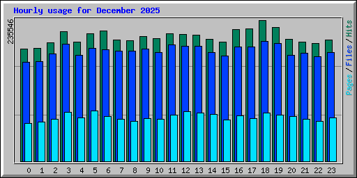 Hourly usage for December 2025