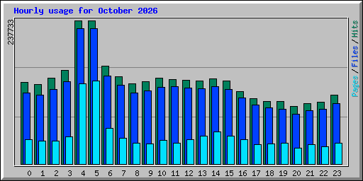 Hourly usage for October 2026