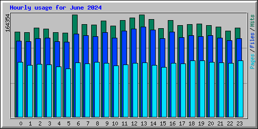 Hourly usage for June 2024