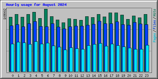 Hourly usage for August 2024