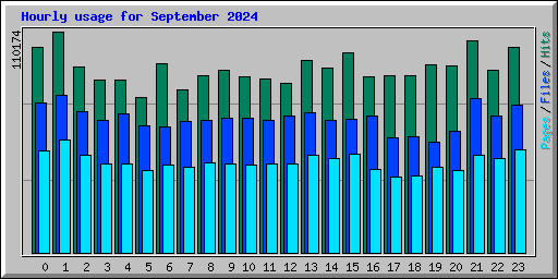 Hourly usage for September 2024