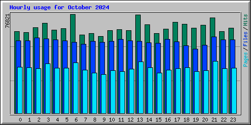 Hourly usage for October 2024