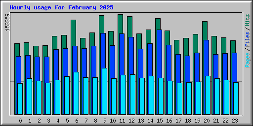 Hourly usage for February 2025