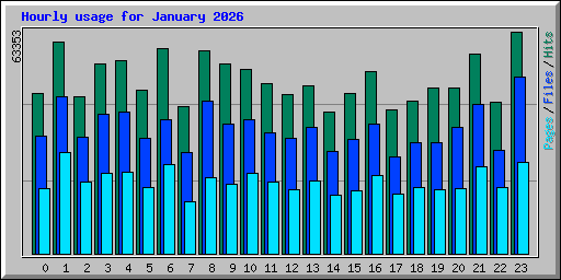 Hourly usage for January 2026
