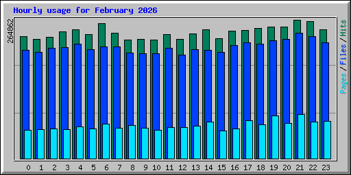 Hourly usage for February 2026