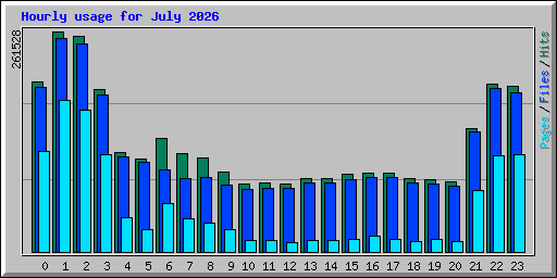 Hourly usage for July 2026